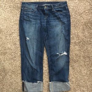 Joe’s best friend Capri